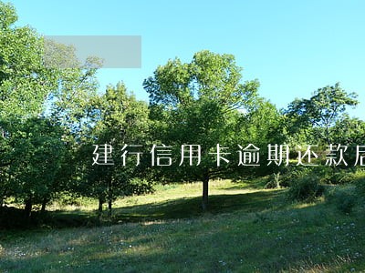 建行信用卡逾期还款后多久解冻 建行信用卡逾期还款后多久解冻