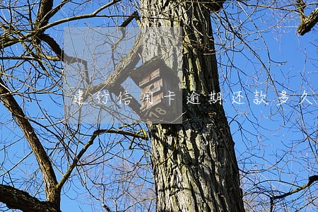 建行信用卡逾期还款多久有效 建行信用卡逾期还款多久有效