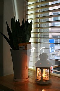 建行信用卡逾期还款都扣利息 建行信用卡逾期还款都扣利息