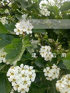 建行信用卡逾期还款额