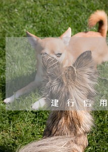 建行信用卡逾期还没冻结 建行信用卡逾期还没冻结