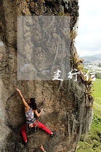 建行信用卡逾期还清还能使用么 建行信用卡逾期还清还能使用么