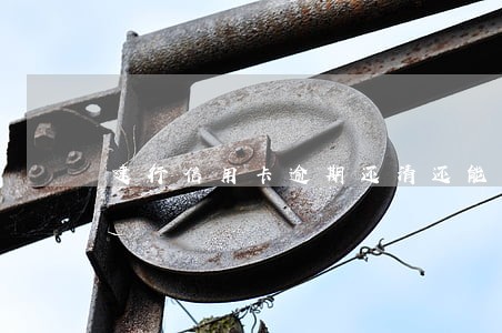 建行信用卡逾期还清还能用吗 建行信用卡逾期还清还能用吗