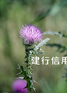 建行信用卡逾期还部分 建行信用卡逾期还部分