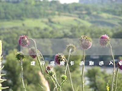 建行信用卡逾期进入审核阶段 建行信用卡逾期进入审核阶段