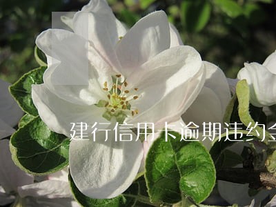 建行信用卡逾期违约金合法吗 建行信用卡逾期违约金合法吗
