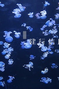 建行信用卡逾期违约金怎么能退 建行信用卡逾期违约金怎么能退