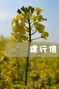建行信用卡逾期银行不肯协商 建行信用卡逾期银行不肯协商