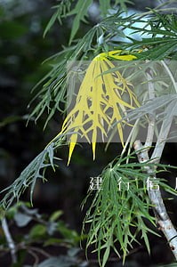 建行信用卡逾期银行卡能用吗 建行信用卡逾期银行卡能用吗