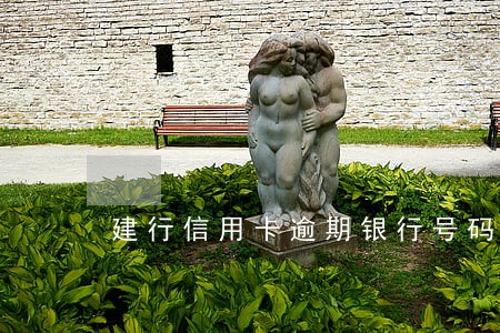 建行信用卡逾期银行号码多少 建行信用卡逾期银行号码多少