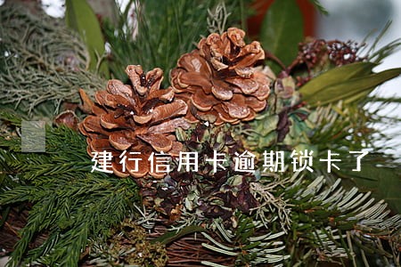建行信用卡逾期锁卡了 建行信用卡逾期锁卡了