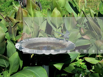 建行信用卡逾期锁卡怎么解 建行信用卡逾期锁卡怎么解