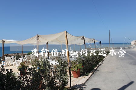 建行信用如何只还本金 建行信用如何只还本金