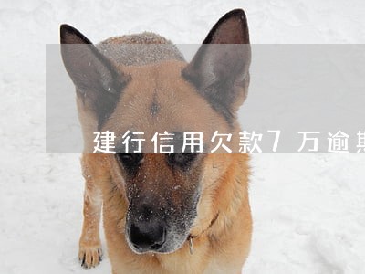 建行信用欠款7万逾期