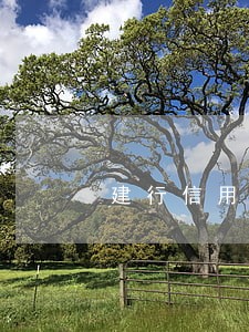 建行信用没激活短信说逾期还款 建行信用没激活短信说逾期还款