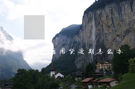 建行信用贷逾期怎么办 建行信用贷逾期怎么办