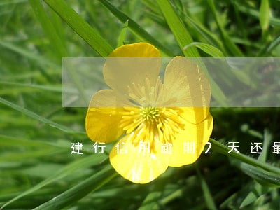 建行信用逾期2天还最低 建行信用逾期2天还最低