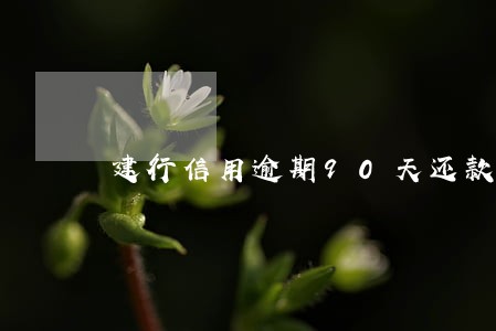 建行信用逾期90天还款 建行信用逾期90天还款