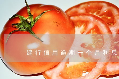 建行信用逾期一个月利息怎么算 建行信用逾期一个月利息怎么算