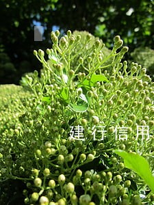 建行信用逾期利息