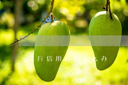 建行信用逾期怎么办 建行信用逾期怎么办