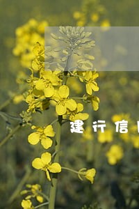 建行信用逾期申请信用卡