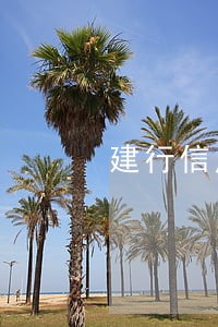 建行信用逾期能办储蓄卡吗 建行信用逾期能办储蓄卡吗