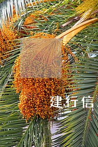 建行信用逾期记录可以消除么 建行信用逾期记录可以消除么