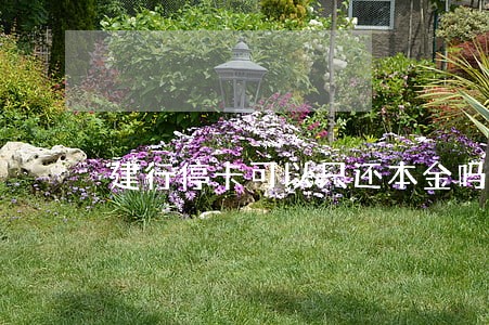 建行停卡可以只还本金吗 建行停卡可以只还本金吗