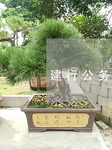建行公务信用卡逾期 建行公务信用卡逾期