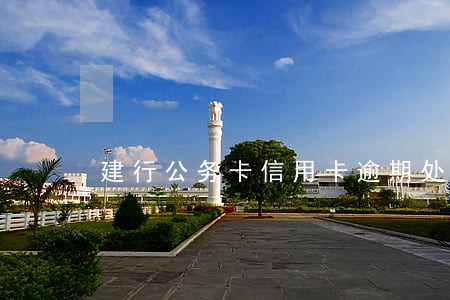 建行公务卡信用卡逾期处理 建行公务卡信用卡逾期处理
