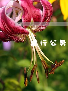 建行公务卡逾期会影响信用 建行公务卡逾期会影响信用
