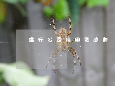 建行公司信用贷逾期 建行公司信用贷逾期