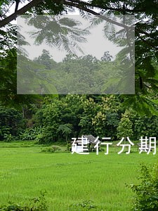 建行分期通逾期15万