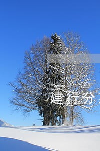 建行分期通逾期15天