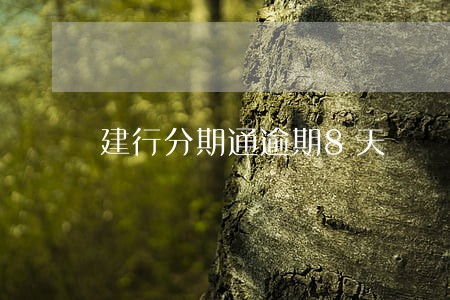 建行分期通逾期8天
