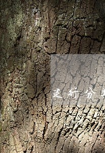 建行分期逾期了40天