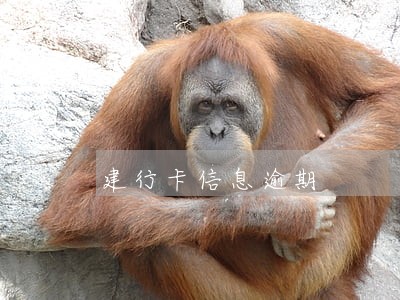 建行卡信息逾期