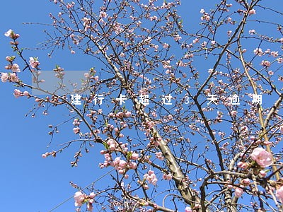 建行卡超过3天逾期 建行卡超过3天逾期