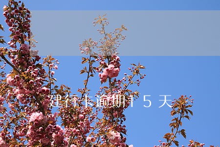 建行卡逾期15天 建行卡逾期15天