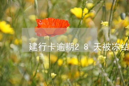 建行卡逾期28天被冻结 建行卡逾期28天被冻结