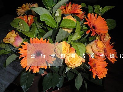 建行卡逾期储蓄卡被扣