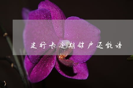 建行卡逾期销户还能请