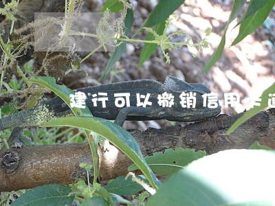 建行可以撤销信用卡逾期么 建行可以撤销信用卡逾期么
