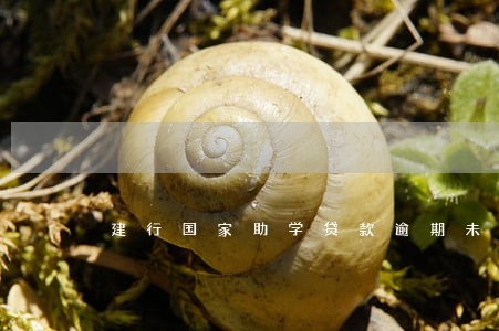建行国家助学贷款逾期未还 建行国家助学贷款逾期未还