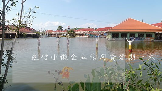 建行小微企业信用贷逾期一天 建行小微企业信用贷逾期一天