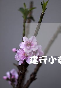 建行小微快贷逾期2天