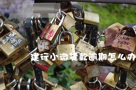 建行小微贷款逾期怎么办 建行小微贷款逾期怎么办