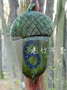 建行年费逾期4个月 建行年费逾期4个月