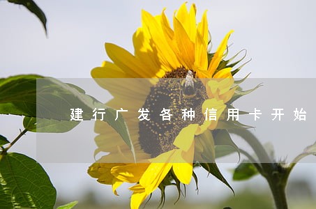 建行广发各种信用卡开始逾期了 建行广发各种信用卡开始逾期了